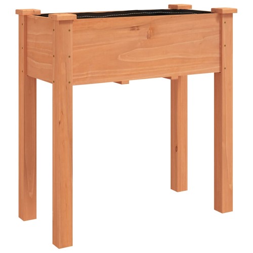 Planter plant pot with - plant,